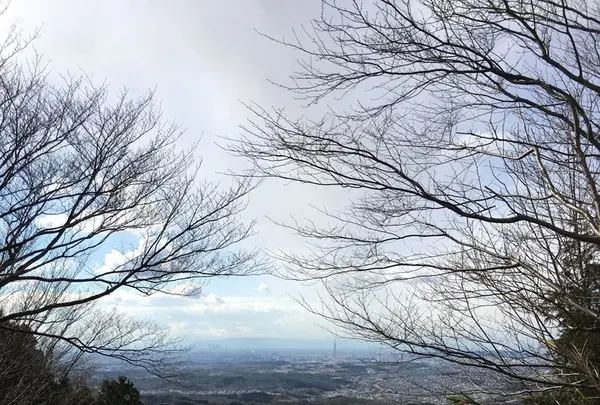 物見山の写真・動画_image_116385