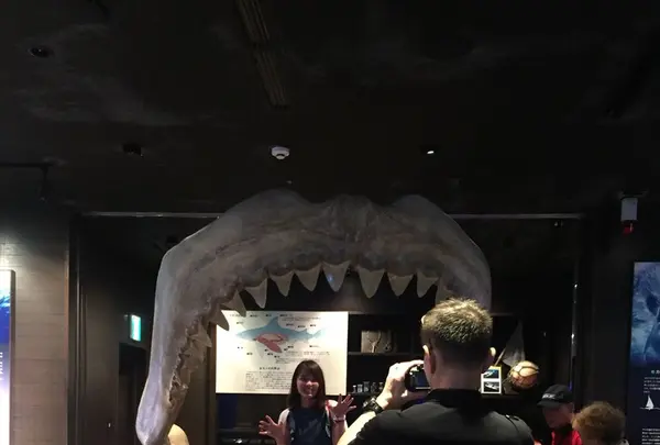 沖縄美ら海水族館の写真・動画_image_116454