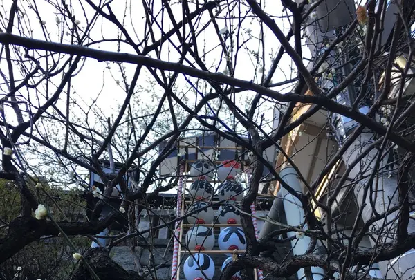 湯島天満宮（湯島天神）の写真・動画_image_116471