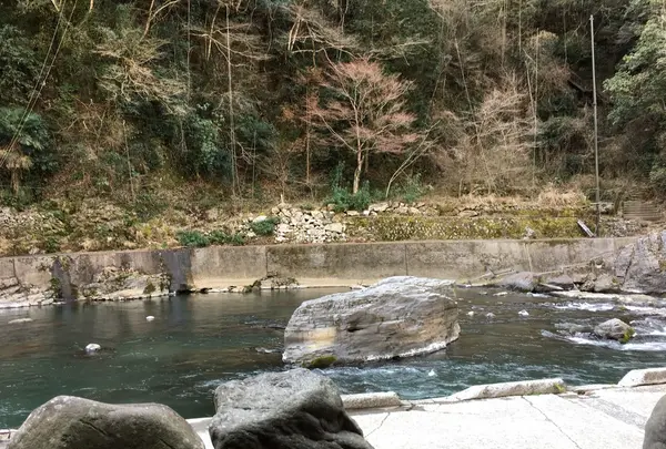 杖立温泉元湯の写真・動画_image_116519