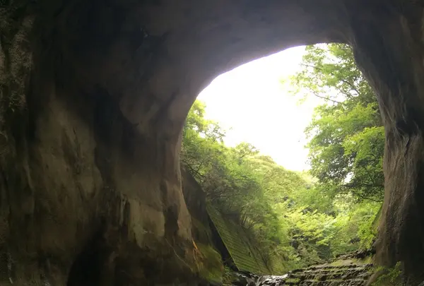 濃溝の滝の写真・動画_image_116532