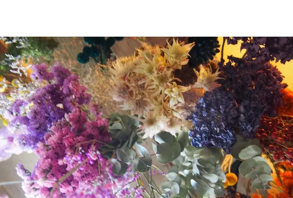 chiba seisakushoの写真・動画_image_116717