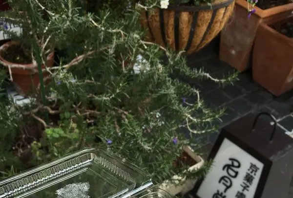 名月堂の写真・動画_image_116720