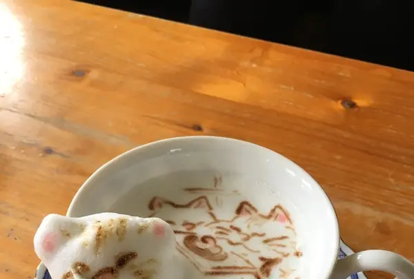 Cafe Duoの写真・動画_image_116800