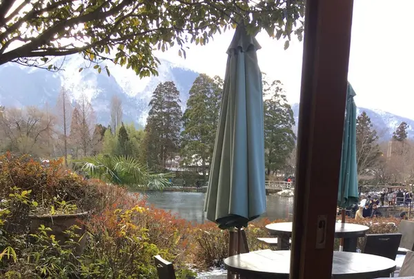 Cafe La Ruche （カフェ・ラ・リューシュ） 由布院シャガール美術館の写真・動画_image_116804