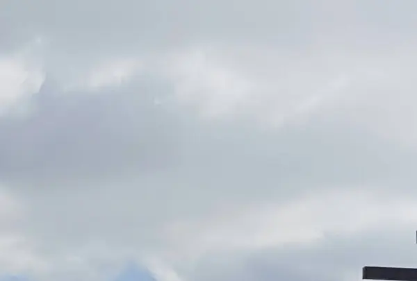 九重“夢”大吊橋の写真・動画_image_116815