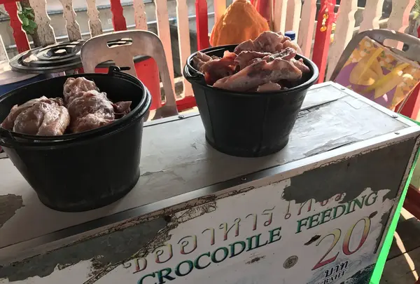 The Samutprakarn Crocodile Farm & Zoo Co.,Ltd.の写真・動画_image_116919