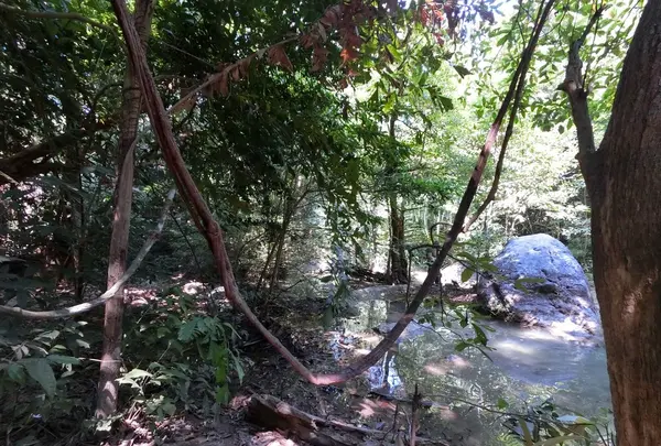 Erawan National Parkの写真・動画_image_116999