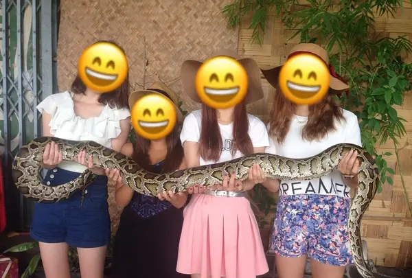 Damnoen Saduak Floating Market（ダムヌンサドアック水上マーケット）の写真・動画_image_117045