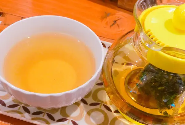 南青山野菜基地の写真・動画_image_117138