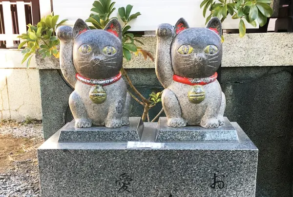 今戸神社の写真・動画_image_117157