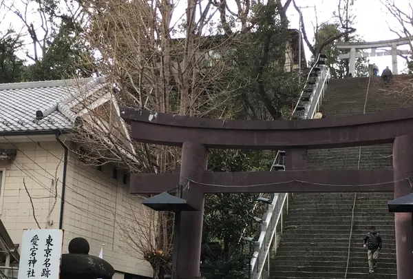 愛宕神社の写真・動画_image_117165