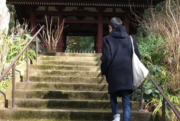 妙本寺の写真・動画_image_117177
