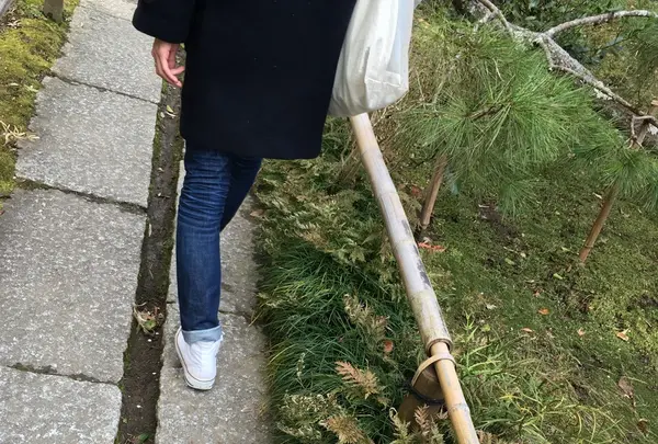 妙本寺の写真・動画_image_117178