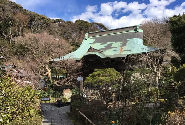 妙本寺の写真・動画_image_117179