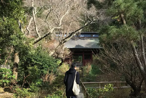 妙本寺の写真・動画_image_117180