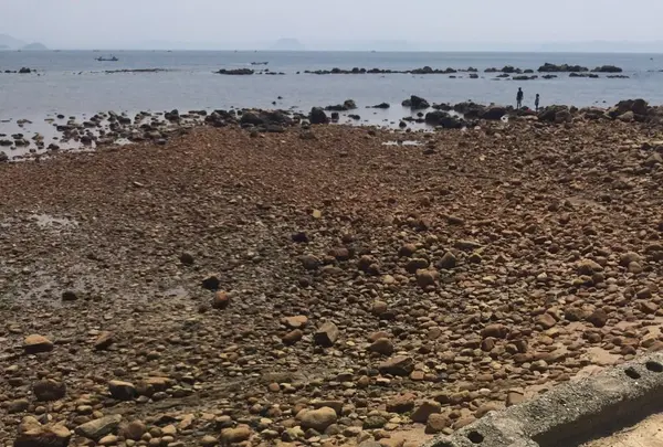 またいちの塩の写真・動画_image_117253