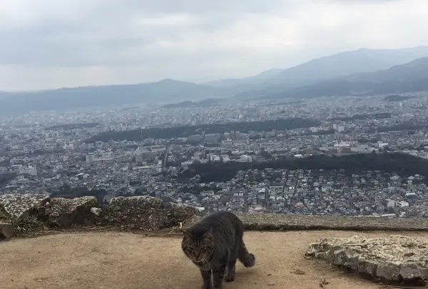 大文字山の写真・動画_image_117279
