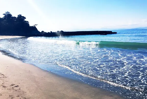 森戸海岸の写真・動画_image_117368