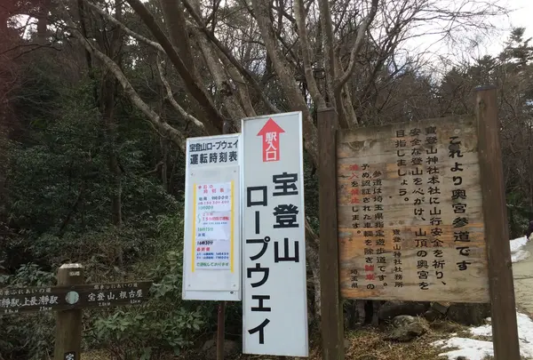 宝登山ロウバイ園の写真・動画_image_117488
