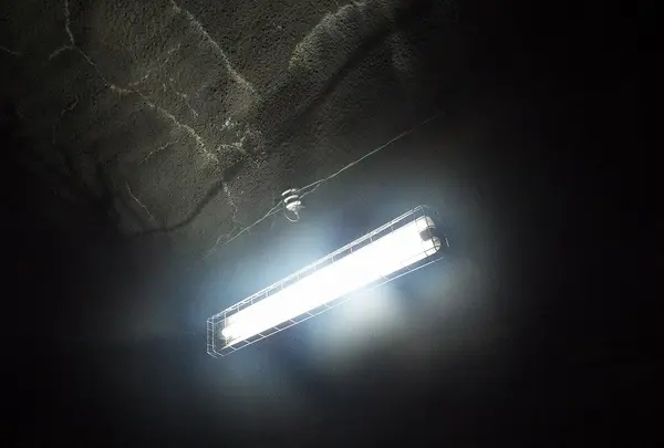 金山ダムの写真・動画_image_117684