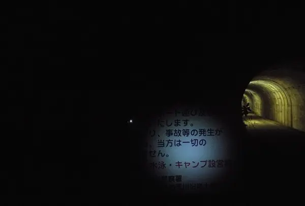 金山ダムの写真・動画_image_117686