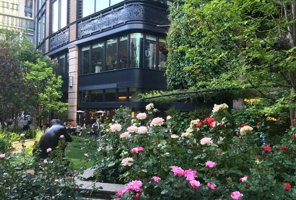 三菱一号館美術館の写真・動画_image_117907