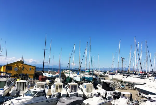 葉山マリーナの写真・動画_image_117912