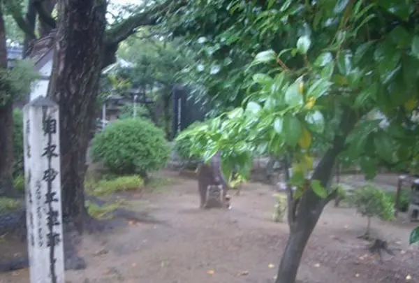 大鳥羽衣浜神社の写真・動画_image_117979