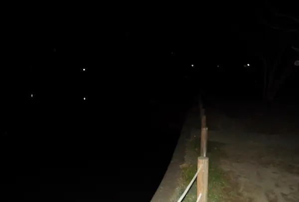 八鶴湖公園の写真・動画_image_117982