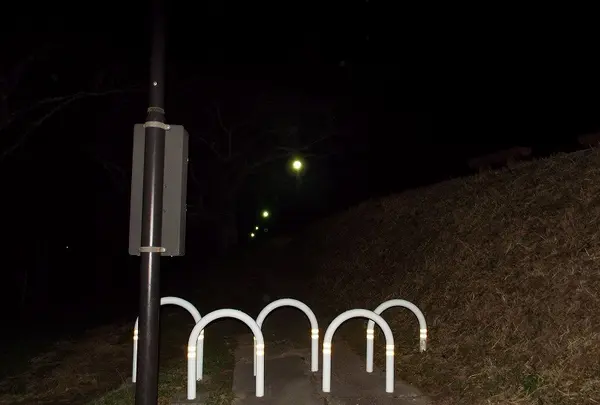 雄蛇ヶ池の写真・動画_image_117989