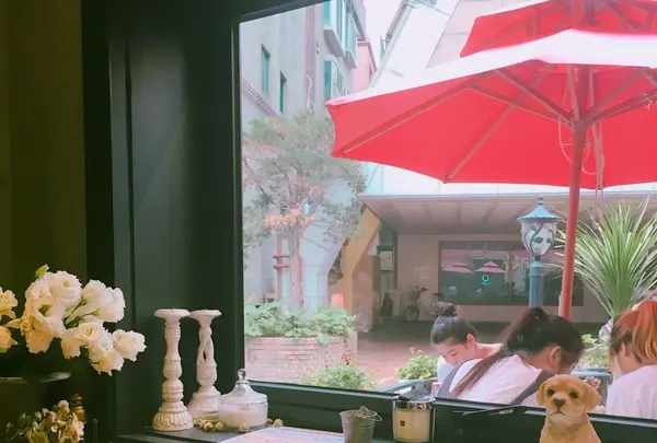 弘大Florte Flower Caféの写真・動画_image_118066