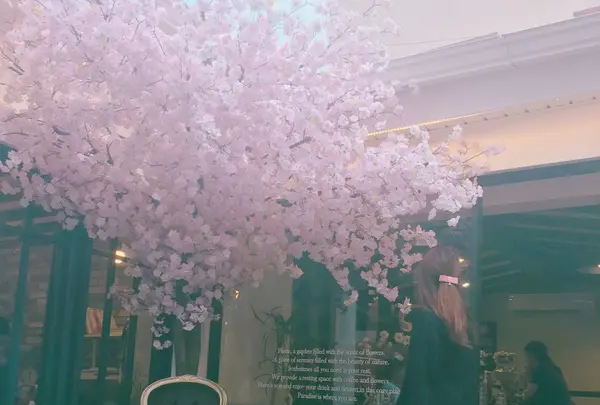 弘大Florte Flower Caféの写真・動画_image_118069