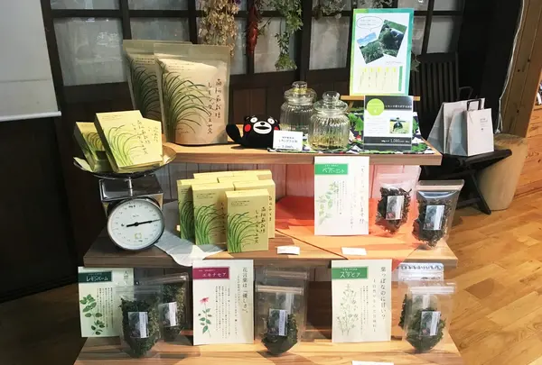 南阿蘇ティーハウス本店の写真・動画_image_118145