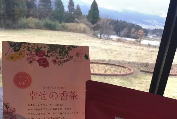 南阿蘇ティーハウス本店の写真・動画_image_118146