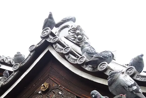 六角堂の写真・動画_image_118198