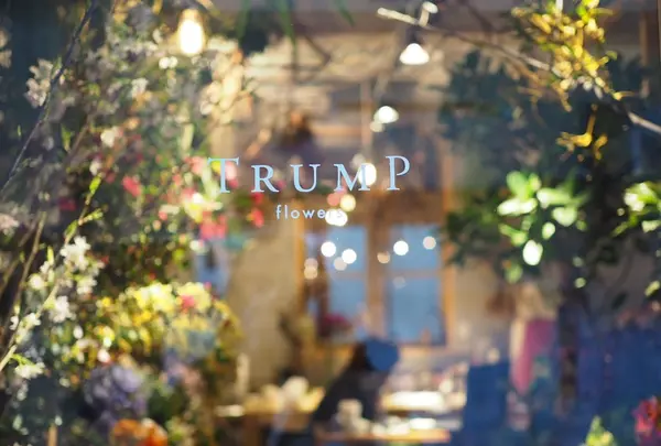 Offf botanical table オフ ボタニカルテーブルの写真・動画_image_118275