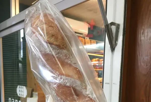 panscapeの写真・動画_image_118302