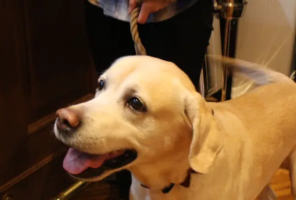 【閉店】cafe & diner NONgUL（ノングル）代々木公園店の写真・動画_image_118395