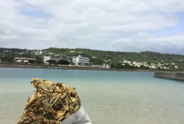 中本鮮魚店てんぷらの写真・動画_image_118403