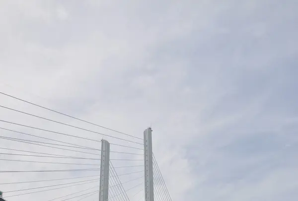 長崎港の写真・動画_image_118449