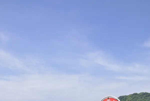 魚見岳公園の写真・動画_image_118460