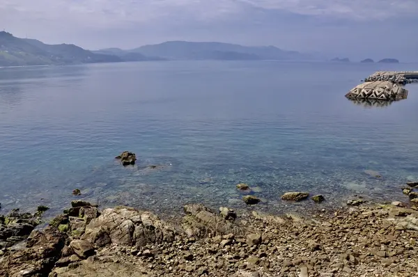 魚見岳公園の写真・動画_image_118461