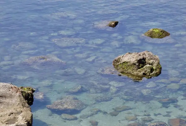 魚見岳公園の写真・動画_image_118462