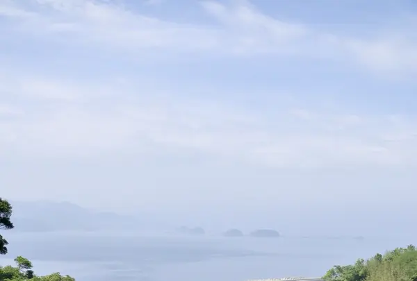 魚見岳公園の写真・動画_image_118463