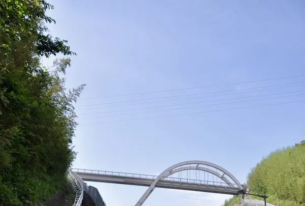 魚見岳公園の写真・動画_image_118464