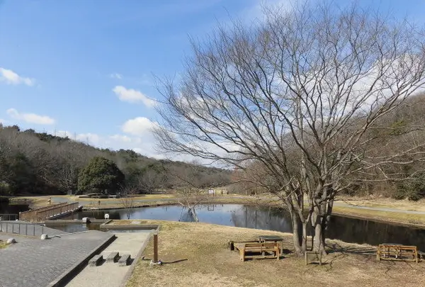 三木山森林公園の写真・動画_image_118465