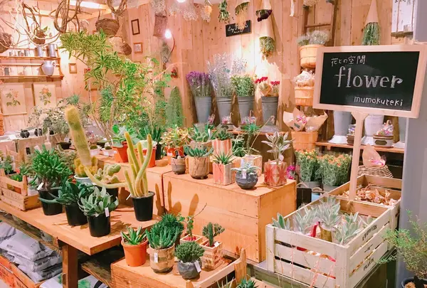 mumokuteki cafe&foods 京都店 (ムモクテキカフェ)の写真・動画_image_118505