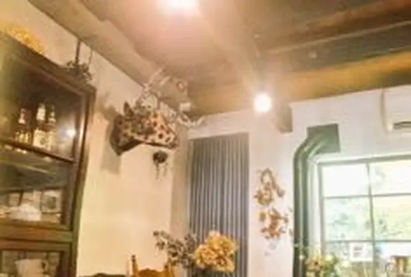 Cafeヒペリカムの写真・動画_image_118914