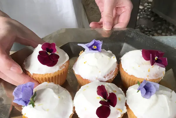 熊本藩主細川家墓所・泰勝寺跡の写真・動画_image_118960